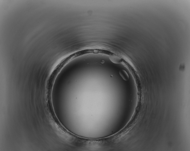 X0000089971116200707061155