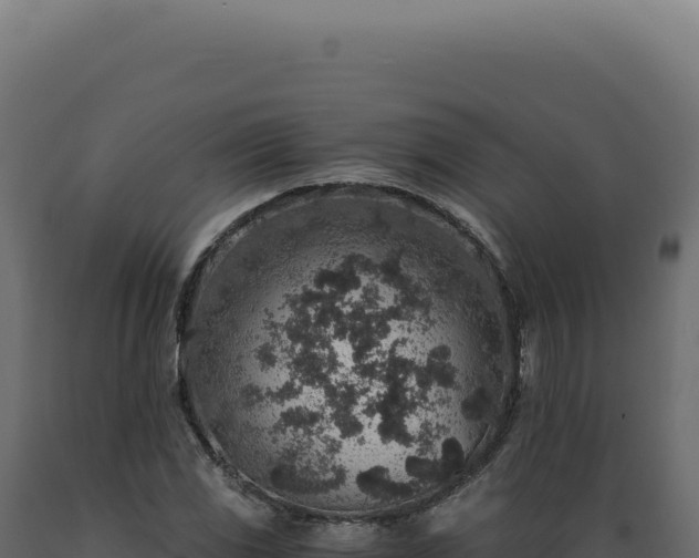 X0000089971117200707061155