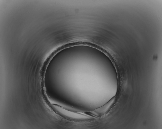 X0000089971118200707061155