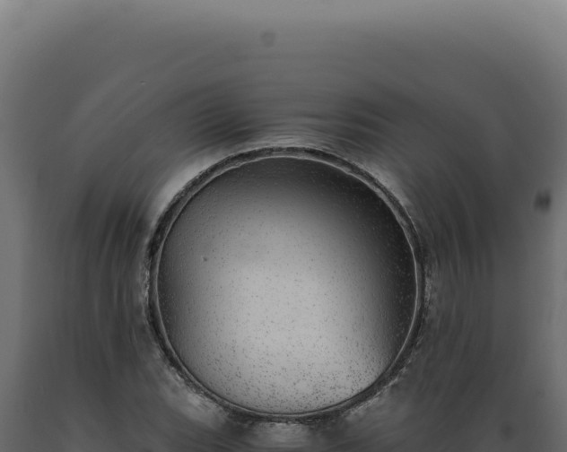 X0000089971119200707061155