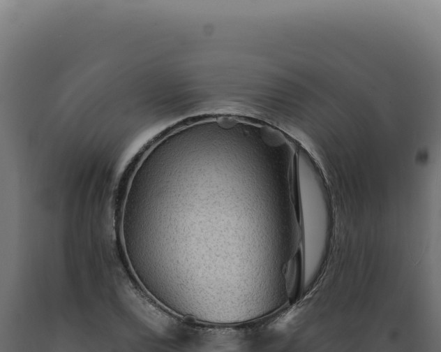 X0000089971120200707061155