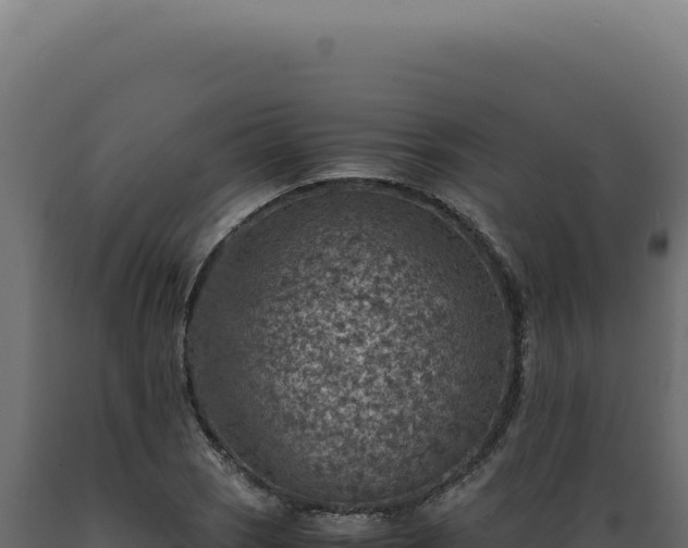 X0000089971121200707061155