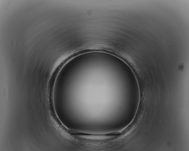 X0000089971122200707061155