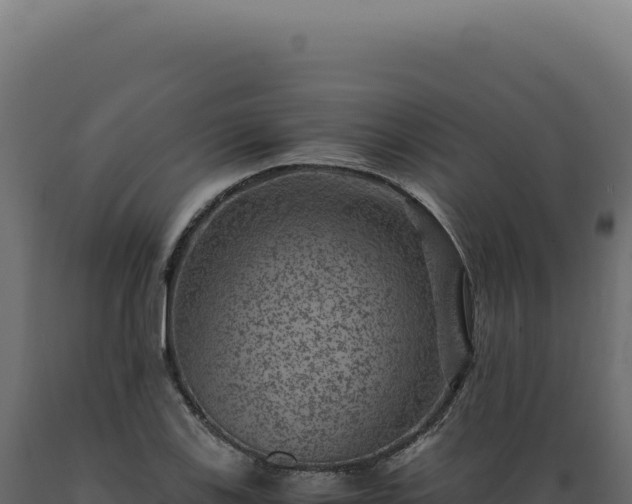 X0000089971123200707061155