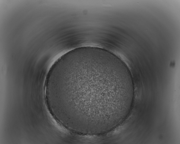 X0000089971125200707061155