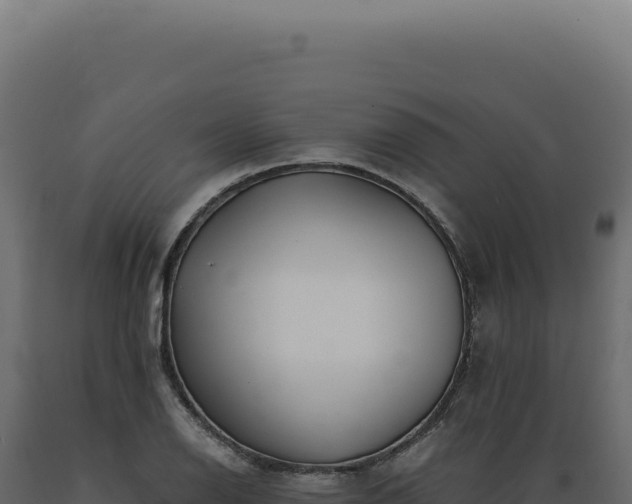 X0000089971126200707061155