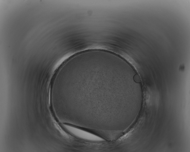X0000089971127200707061155