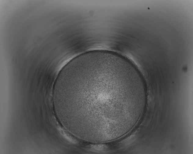 X0000089971129200707061155