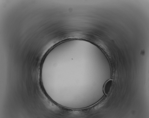 X0000089971130200707061155