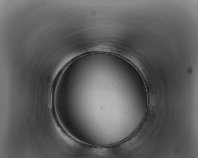 X0000089971131200707061155