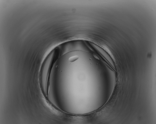 X0000089971132200707061155