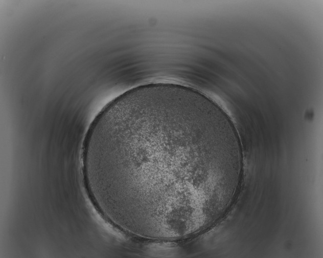 X0000089971133200707061155
