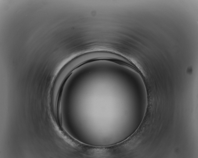 X0000089971134200707061155