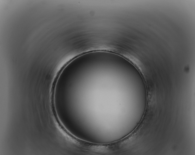 X0000089971135200707061155