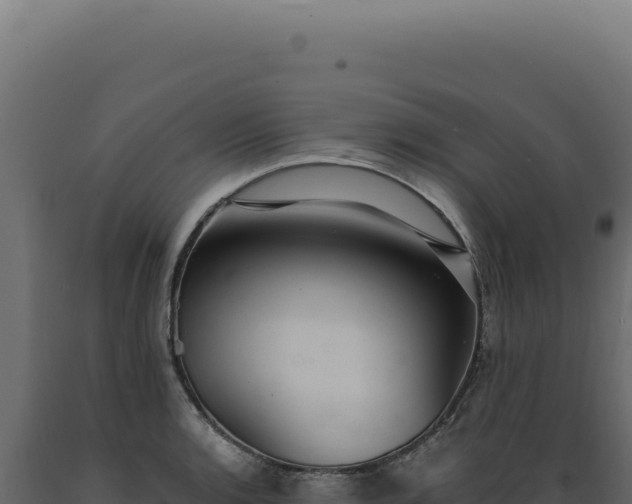 X0000089971136200707061155