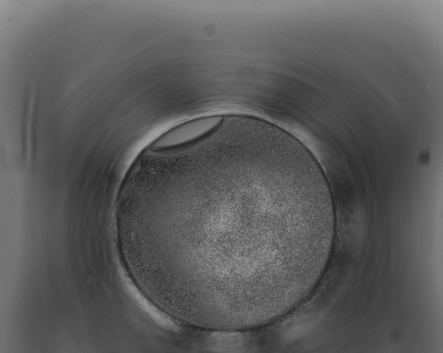 X0000089971142200707061155