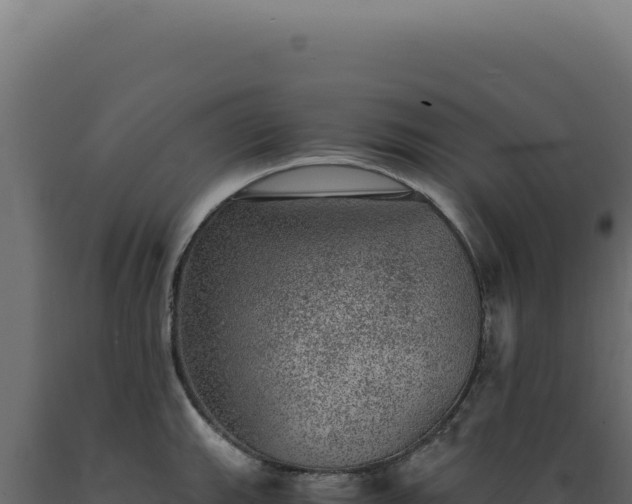 X0000089971143200707061155