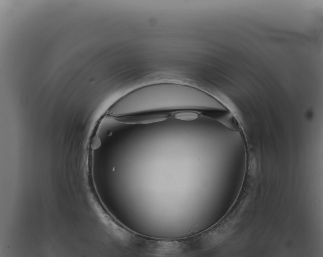 X0000089971144200707061155