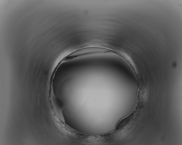 X0000089971146200707061155
