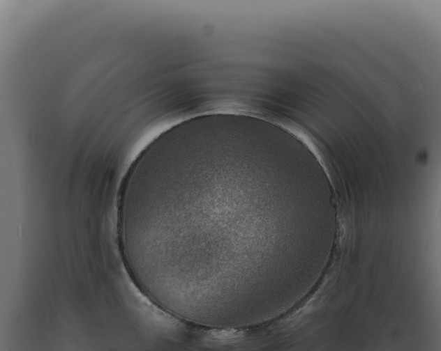 X0000089971147200707061155