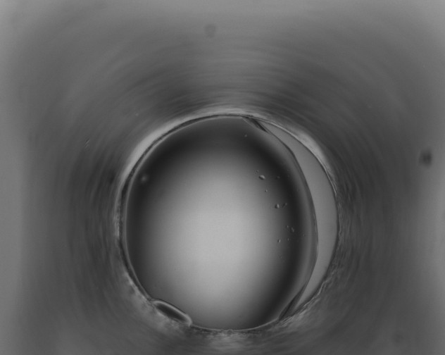 X0000089971148200707061155