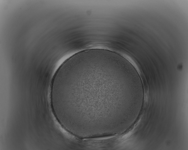X0000089971149200707061155