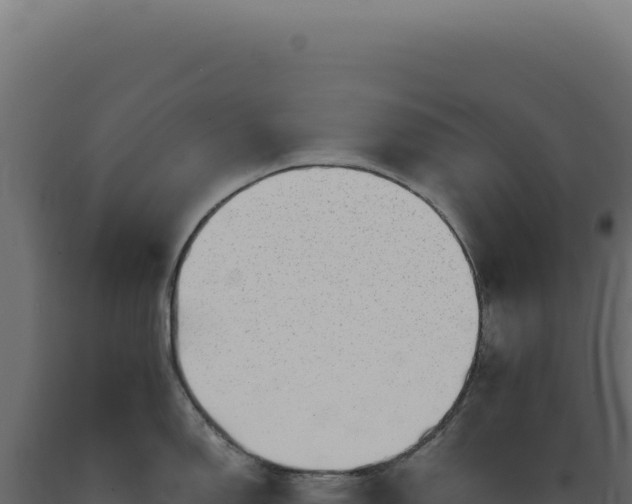 X0000089971150200707061155