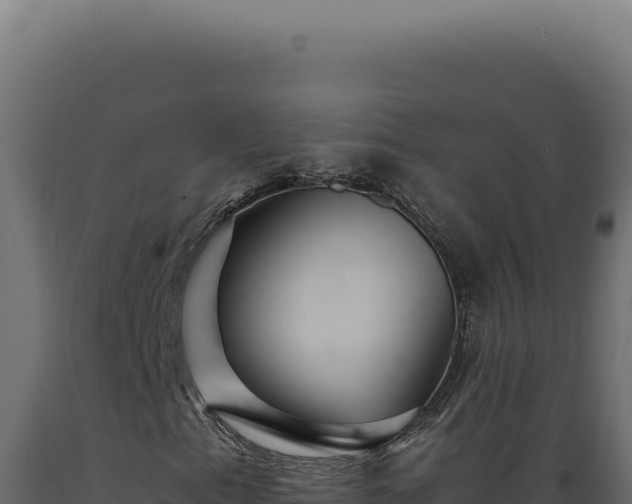 X0000089971153200707061155