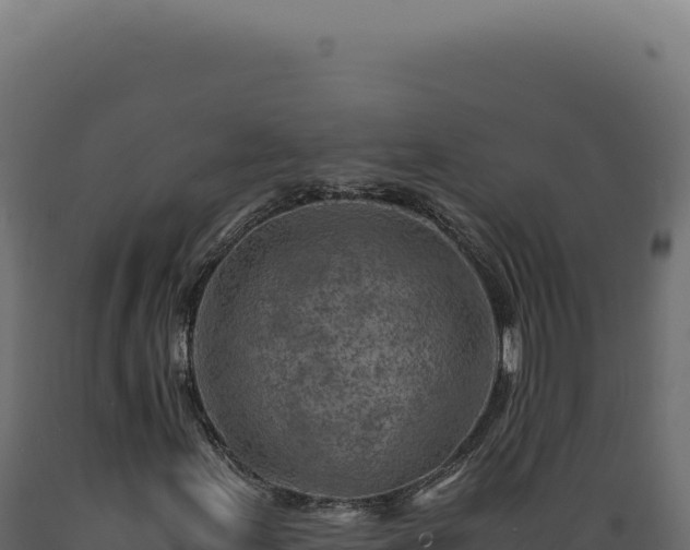 X0000089971155200707061155