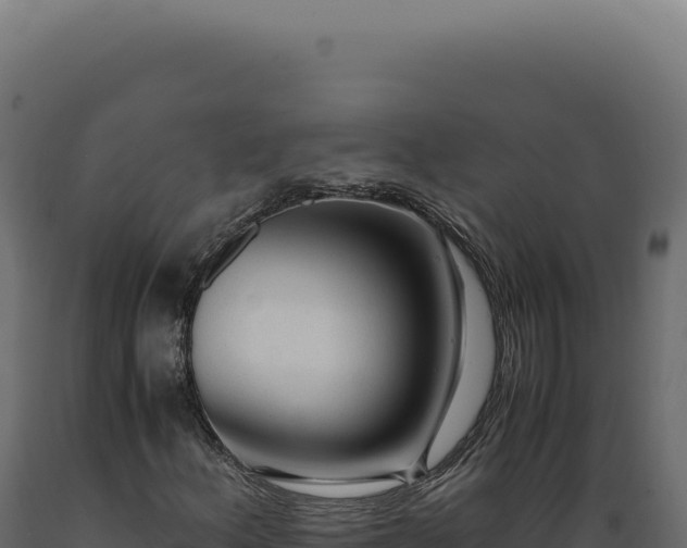 X0000089971156200707061155