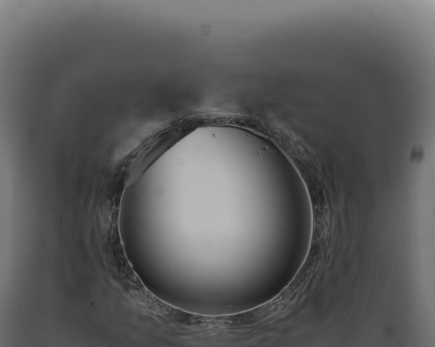 X0000089971157200707061155