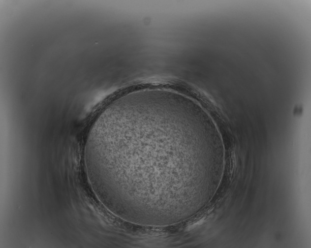 X0000089971158200707061155