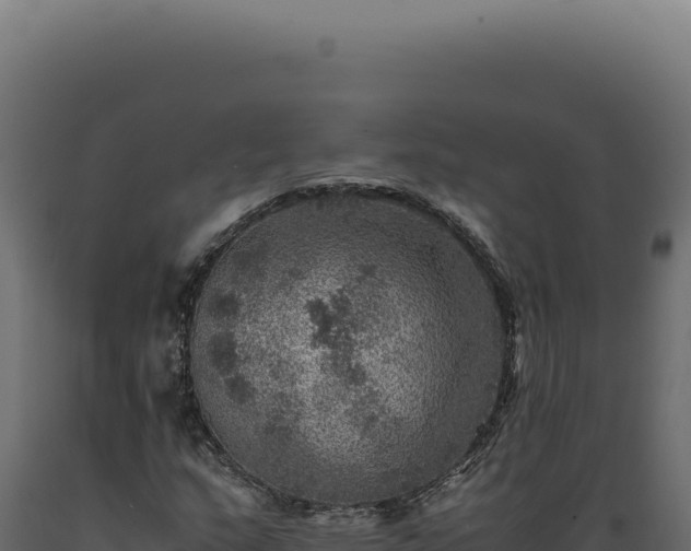 X0000089971159200707061155