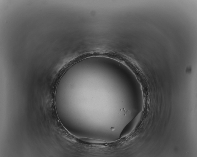 X0000089971160200707061155