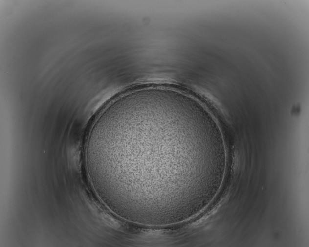 X0000089971162200707061155