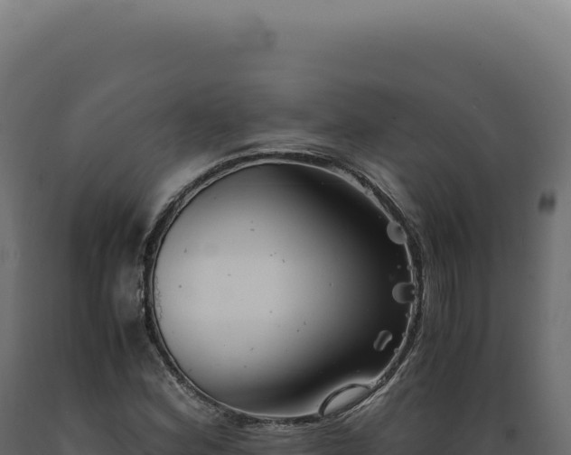 X0000089971164200707061155