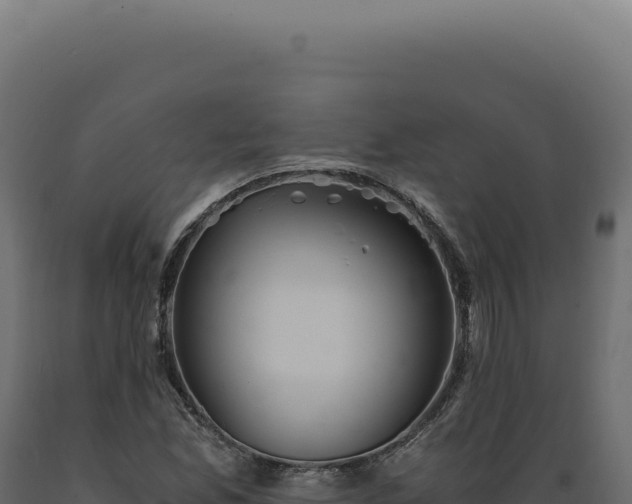 X0000089971165200707061155