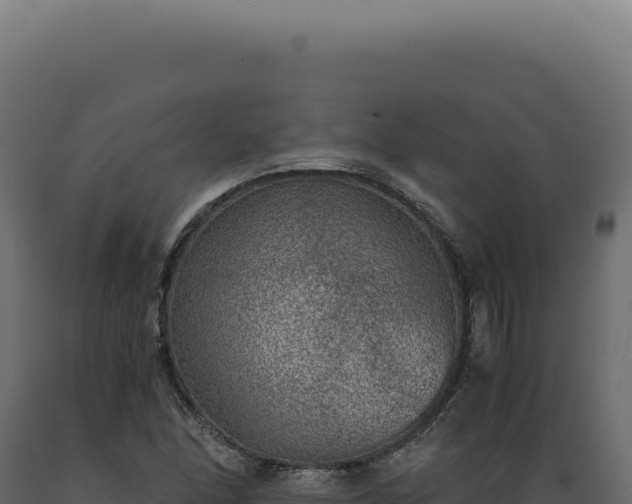 X0000089971166200707061155