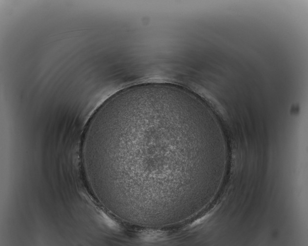 X0000089971170200707061155