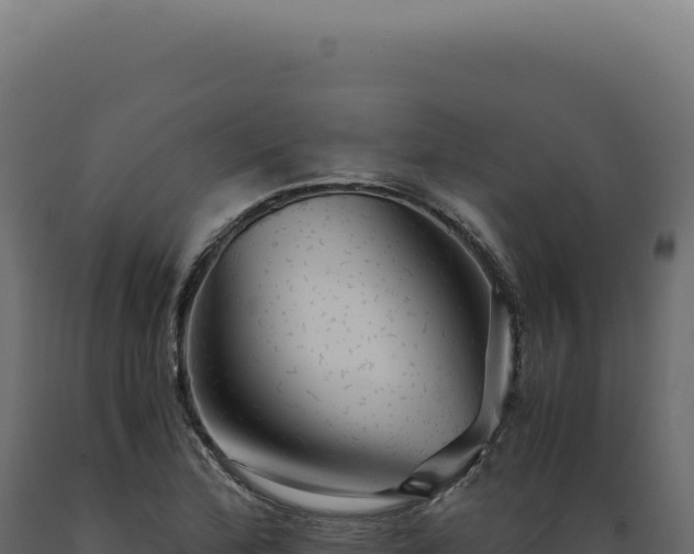 X0000089971172200707061154