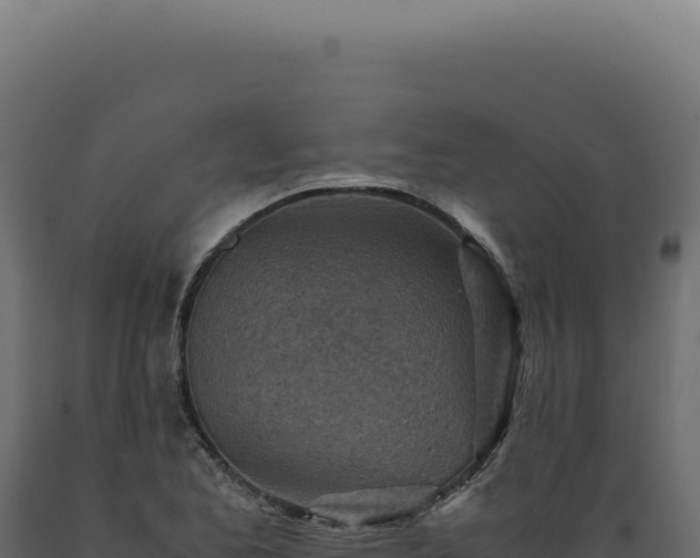 X0000089971173200707061154