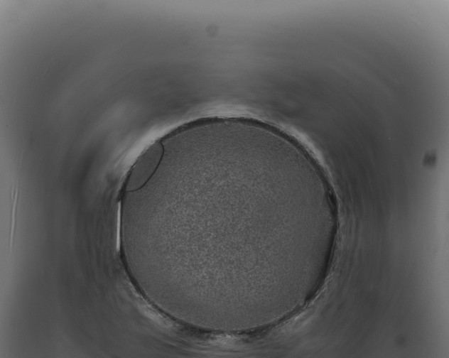 X0000089971175200707061154