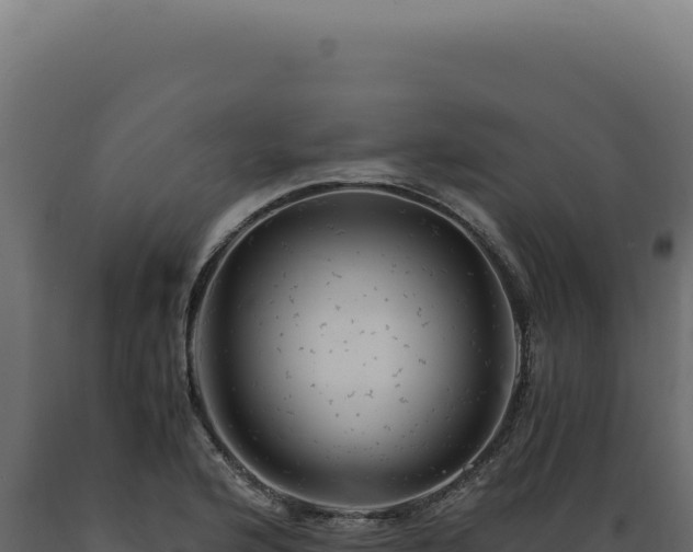 X0000089971176200707061154