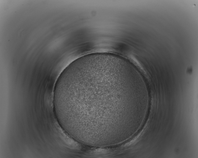 X0000089971178200707061154