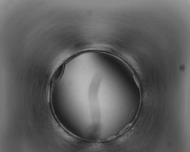 X0000089971180200707061154