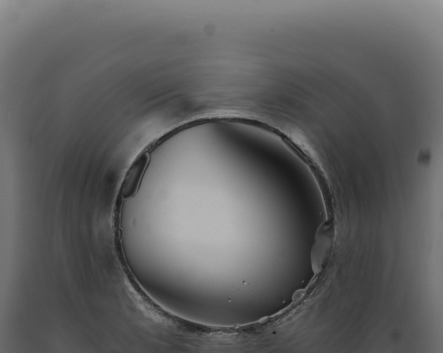 X0000089971181200707061154