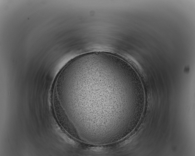 X0000089971182200707061154
