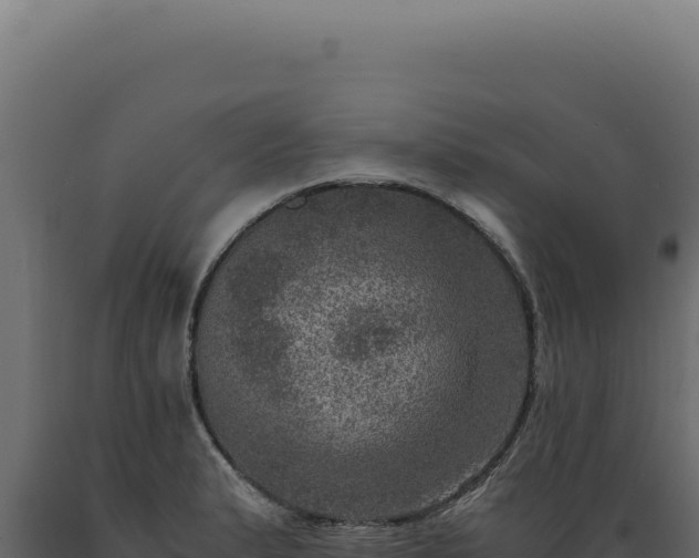 X0000089971183200707061154