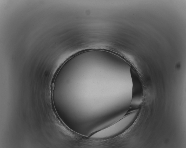 X0000089971184200707061154