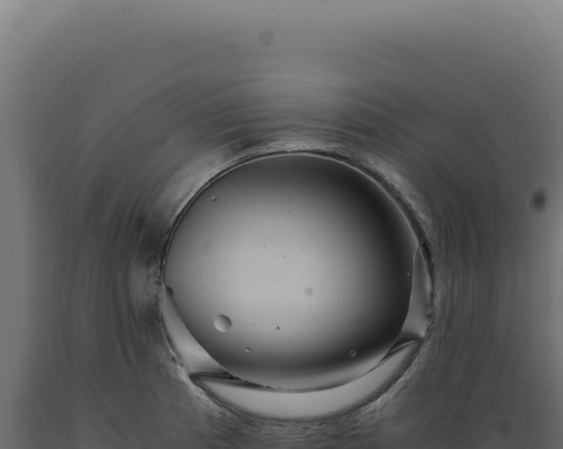 X0000089971185200707061154